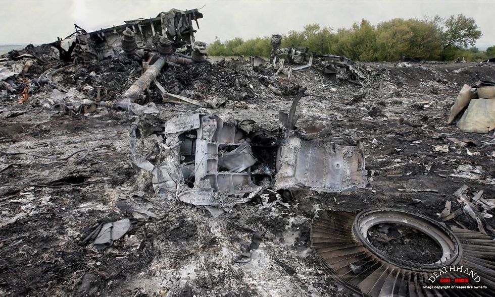 malaysia-airliner-shot-down-wreckage-74-Donetsk-UA-jul17-14.jpg