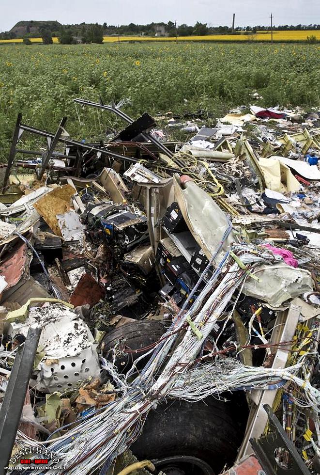 malaysia-airliner-shot-down-wreckage-80-Donetsk-UA-jul17-14.jpg