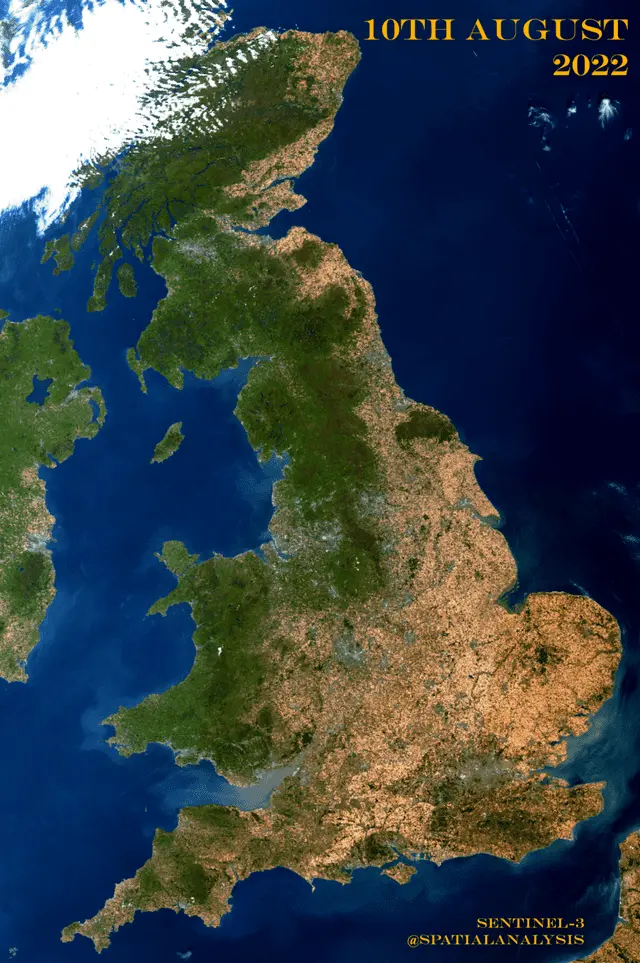 map.webp