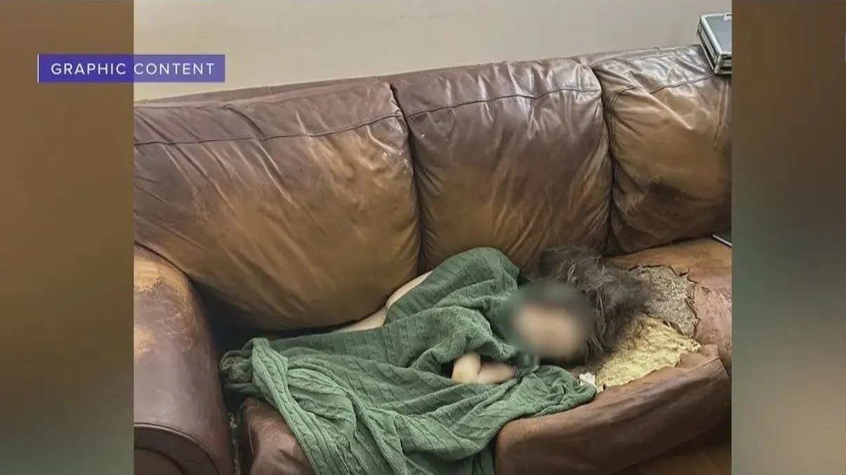 melted-sofa.webp