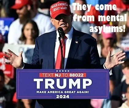 mental asylums.webp