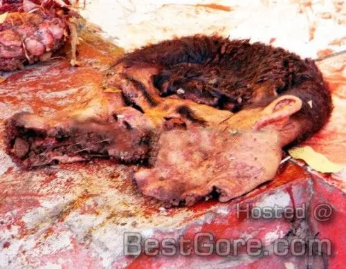 mexican-drug-cartel-torture-two-men-peel-skinned-face-off-while-alive-02-500x389.webp