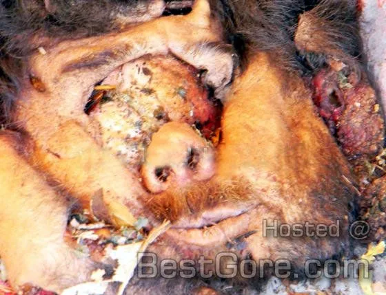 mexican-drug-cartel-torture-two-men-peel-skinned-face-off-while-alive-05.webp