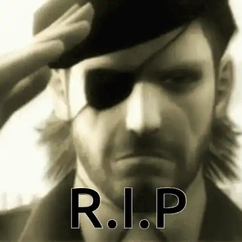 mgs.webp