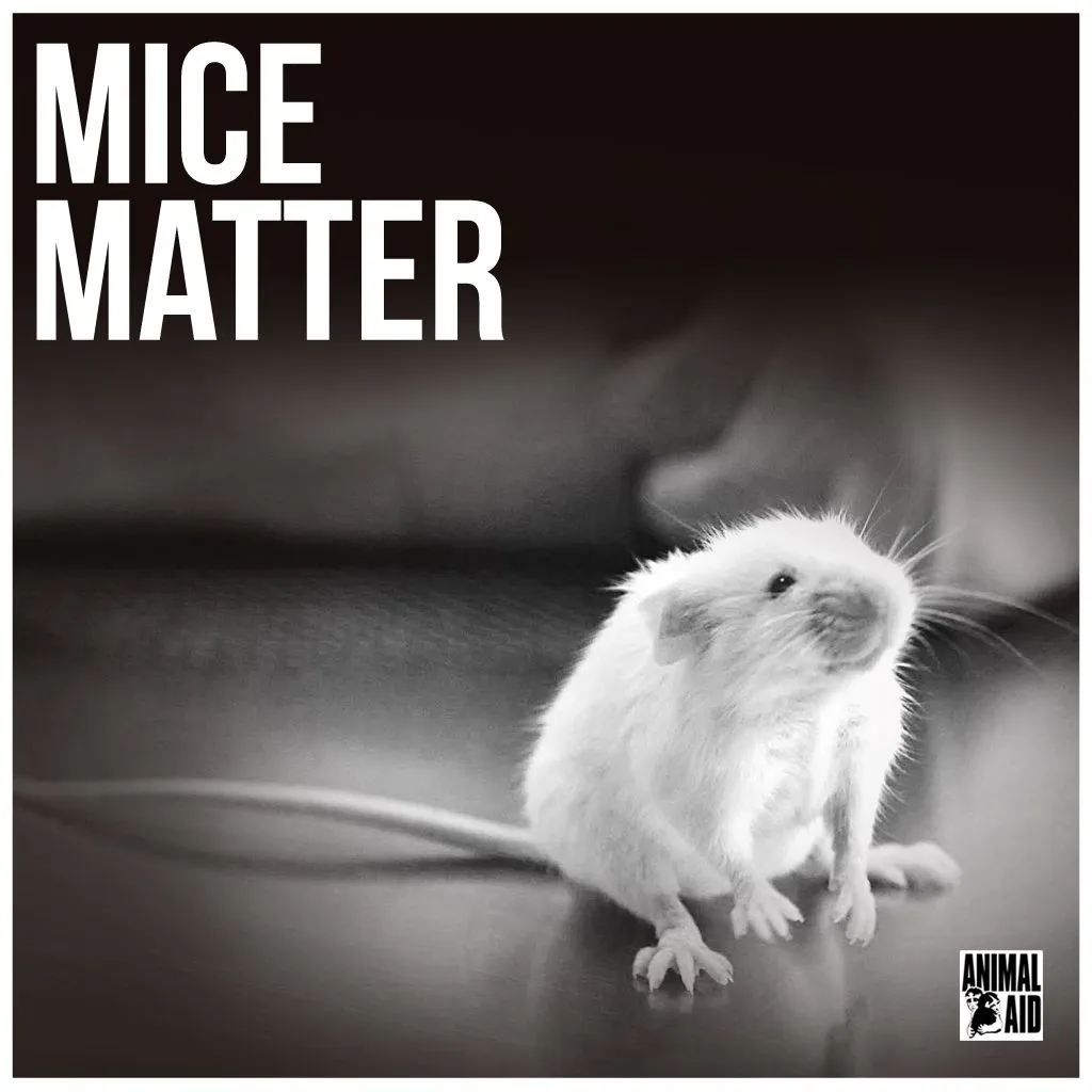 Mice-Matter-Text-Variant-1.webp