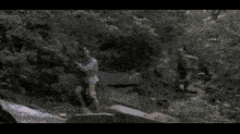 mohican-mosquet.gif
