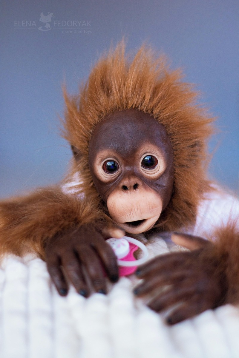 monkey-baby-orangutan-cinta-by-elena-fedoryak.webp