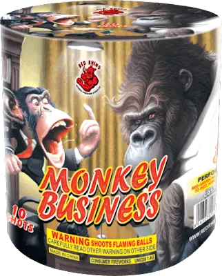 Monkey Business.webp