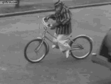 monkey-cycling.gif