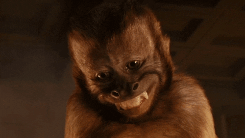 monkey-gif-1.gif