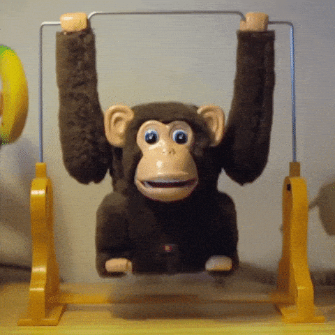 monkey.gif