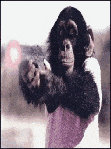 monkey-gun.gif