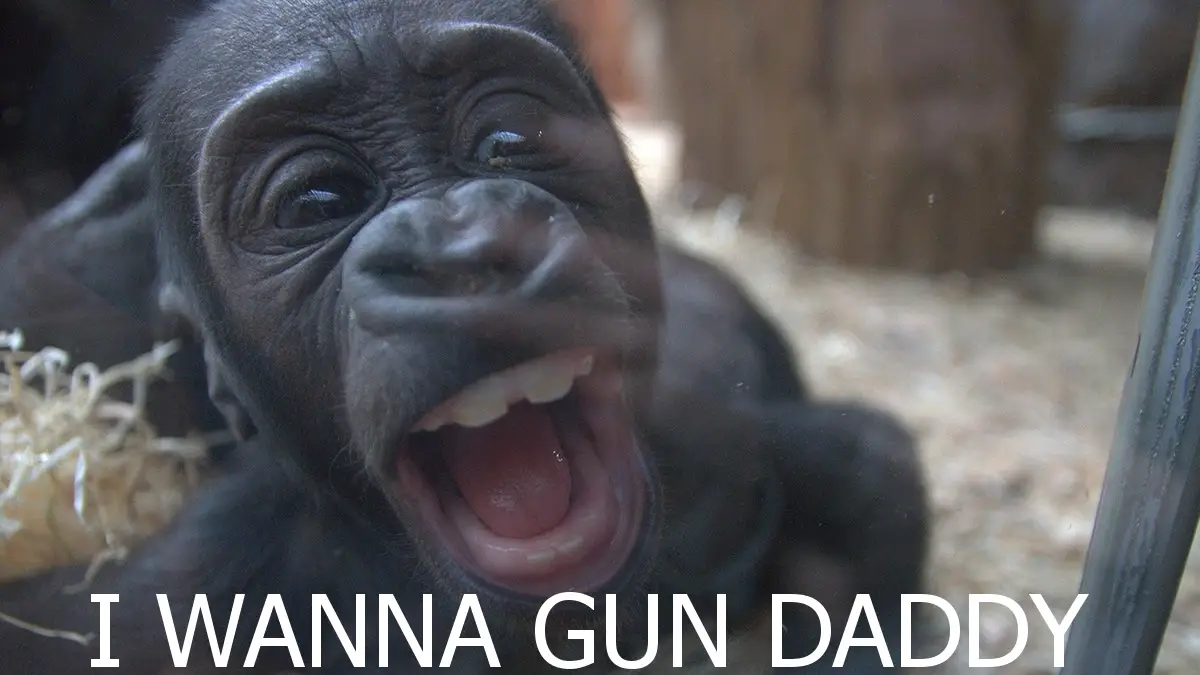 monkey GUN.webp