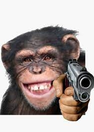 monkey.webp