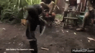Monkey_shooting_AK_47_Between_Soldiers_in_Africa.gif