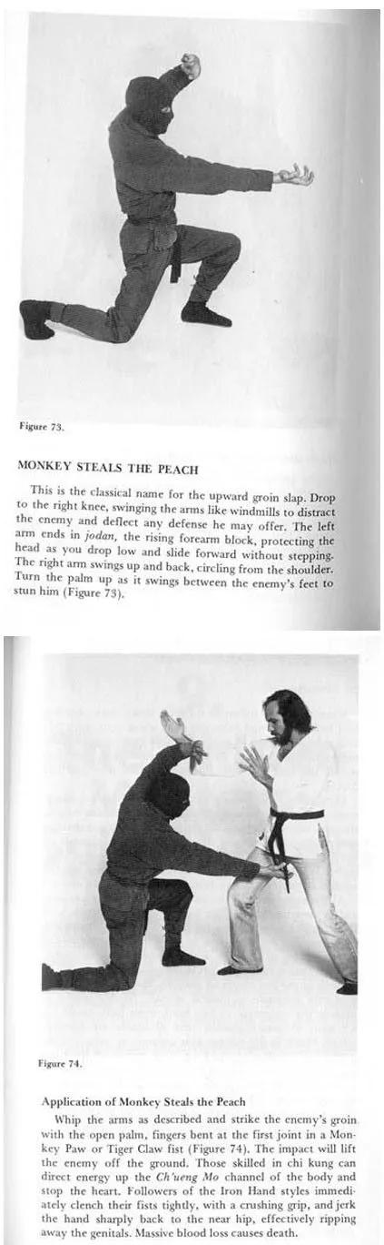 monkeystealsthepeach.webp