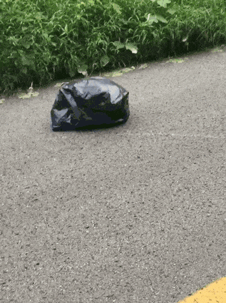moving-trash-bag-road-abandoned-dog-malissa-sergent-lewis-3.gif
