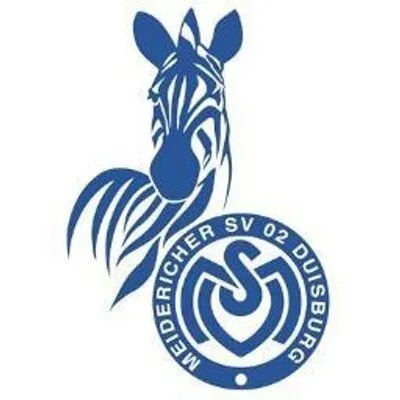 msv.webp