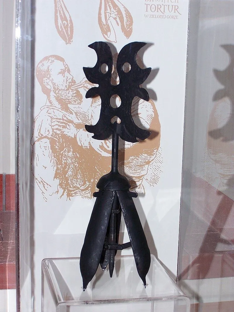 Muzeum_Ziemi_Lubuskiej_-_Muzeum_Tortur_-_Gruszka.webp