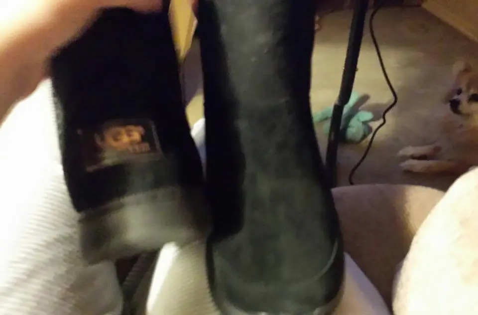 mynewUggs.webp