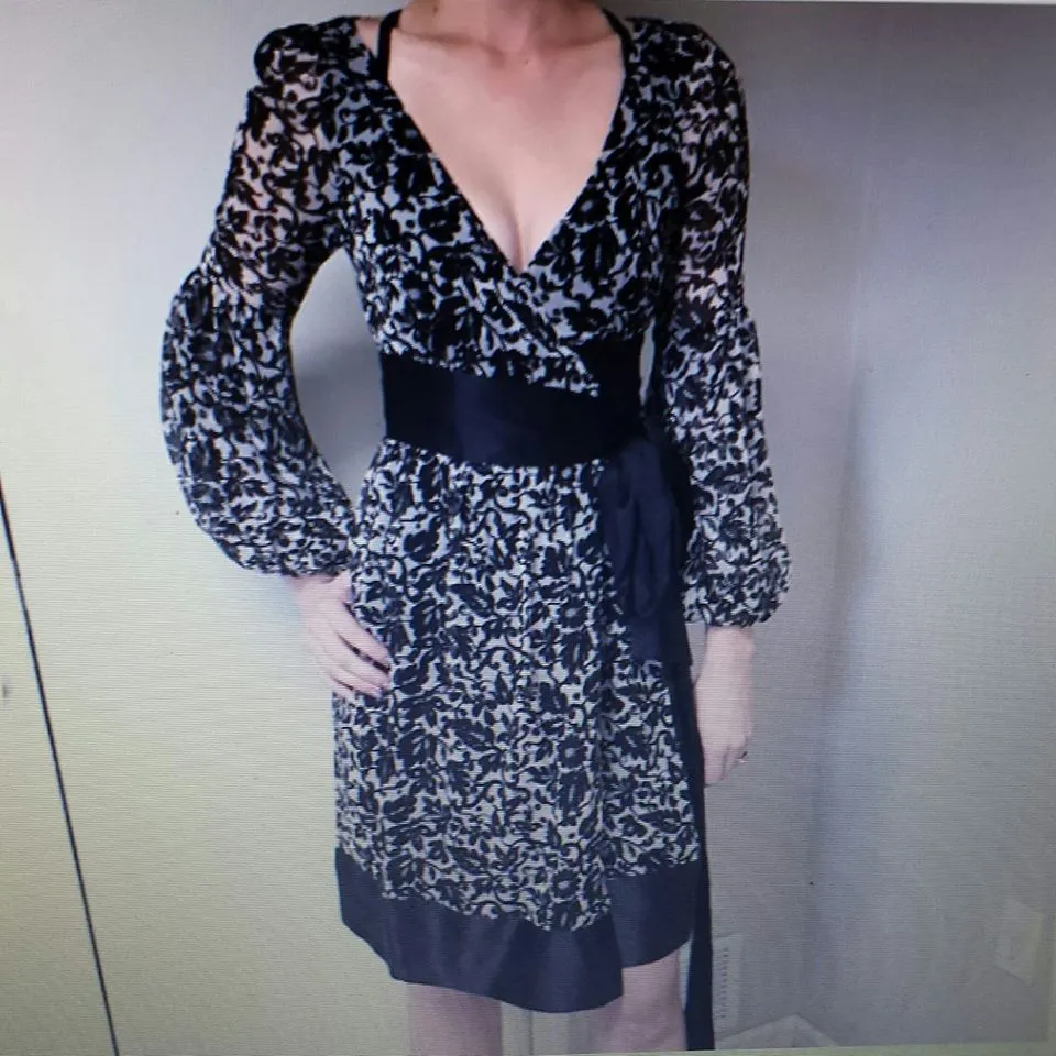 MySilkDressforBIDEN.webp