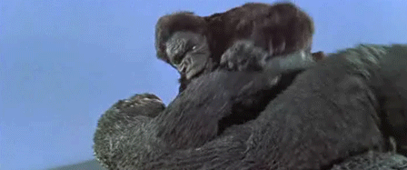 mZLfy7L.gif