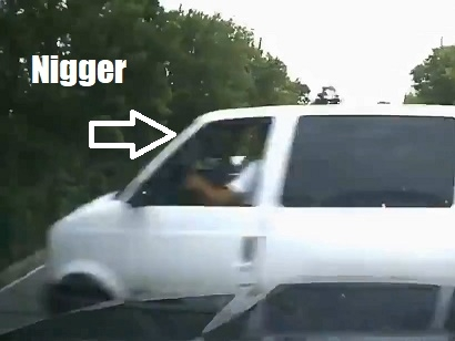 nigger.webp