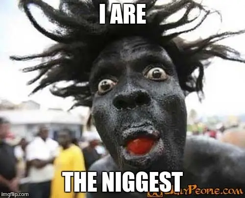 niggest.webp