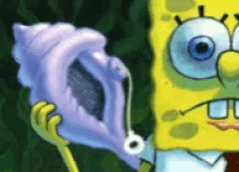 no-spongebob.gif