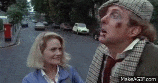 no worries.gif