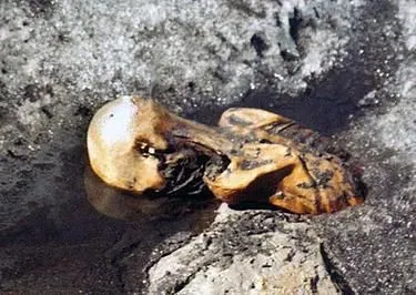 OetzitheIceman-glacier-199109a.jpg