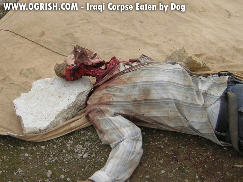ogrish-dot-com-iraqi_corpse_eaten_by_dogs1.jpg