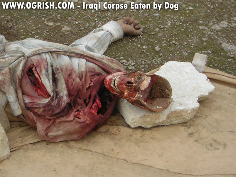 ogrish-dot-com-iraqi_corpse_eaten_by_dogs2.jpg