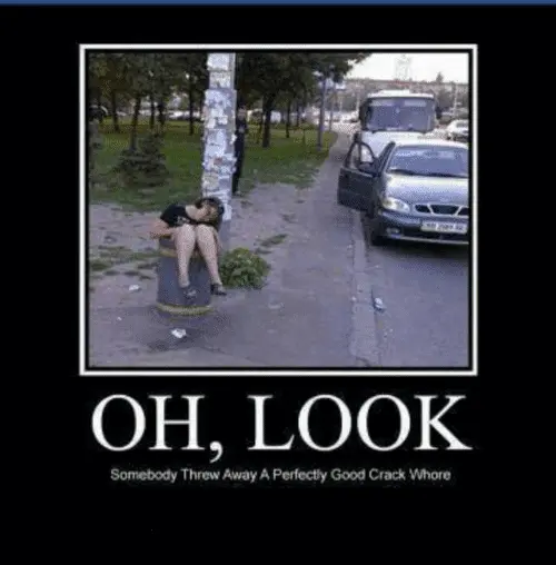 oh-look-somebody-threw-away-a-perfectly-good-crack-whore-27147784.webp