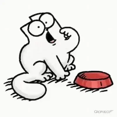 OIP.webp