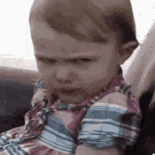 ojas-rn.gif