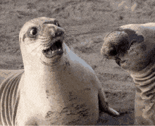 omg-argh.gif