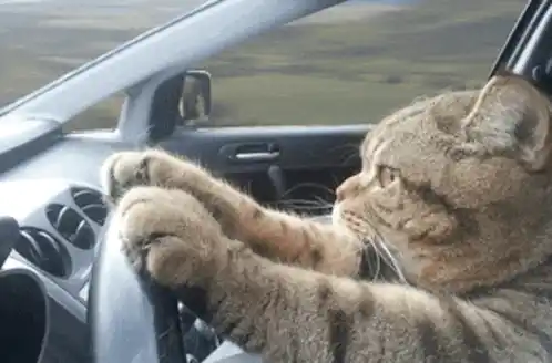 omw.webp