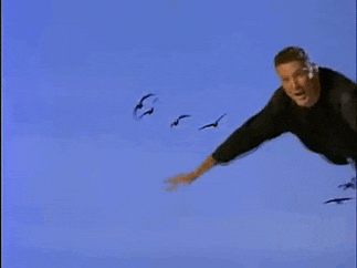 P1PemPnyp4g1i.gif