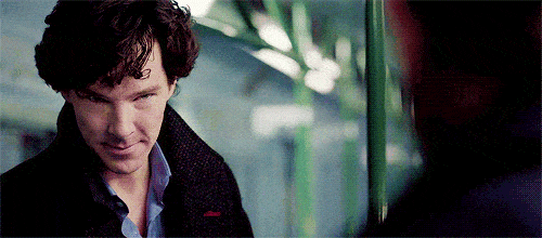 PastelBruisedGyrfalcon-size_restricted.gif