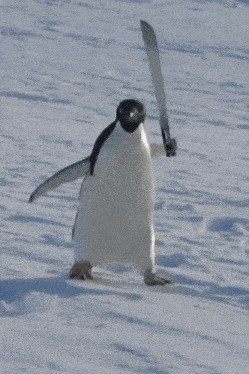 penguin-pingu (1).gif