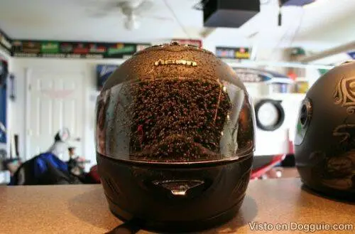 picdump-78-rarezas-24.webp