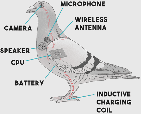 Pigeon-surveillance-drone.png