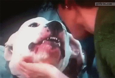 pit nutters 4.gif