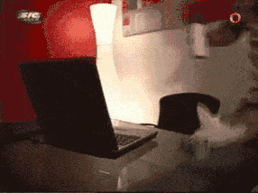 porn-masturbation.gif