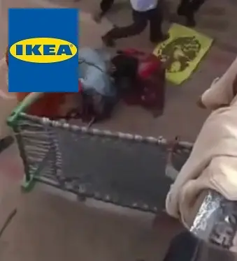 Punjab Ikea.webp