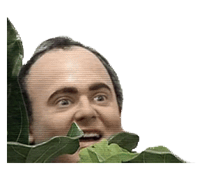 QUGR.gif