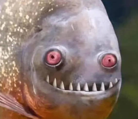 Rape face.webp