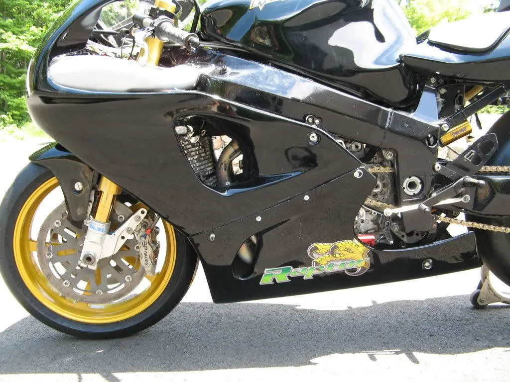 RAPTOR027.webp