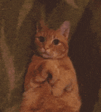 received_1288193108475696.gif